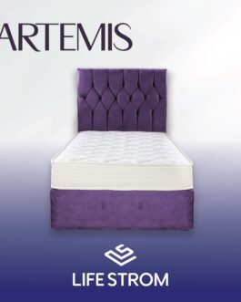 ARTEMIS